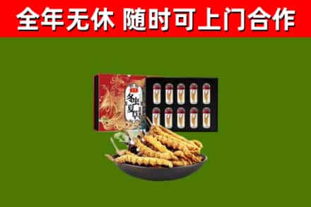 六安回收冬虫夏草价格
